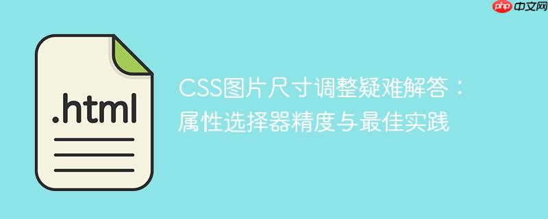 CSS图片尺寸调整疑难解答：属性选择器精度与最佳实践