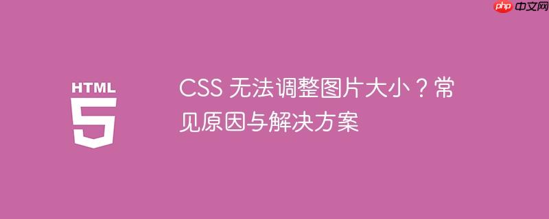 CSS 无法调整图片大小？常见原因与解决方案