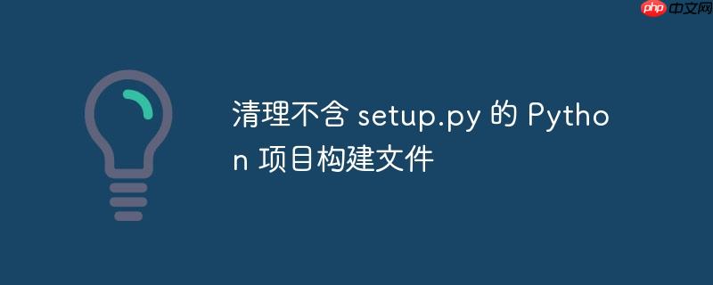 清理不含 setup.py 的 Python 项目构建文件