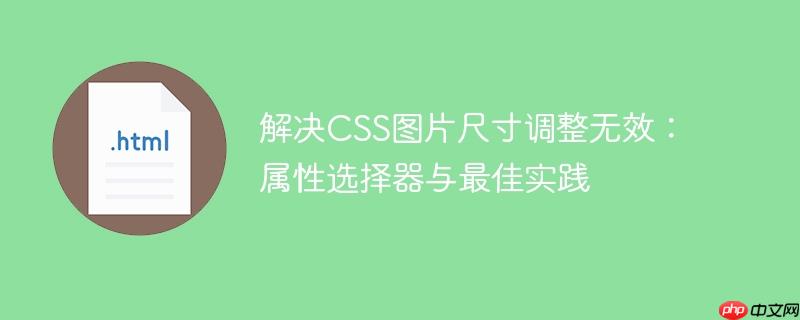 解决CSS图片尺寸调整无效：属性选择器与最佳实践