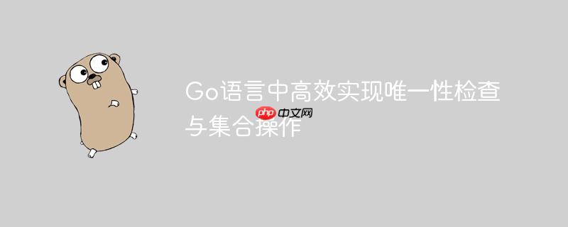 Go语言中高效实现唯一性检查与集合操作