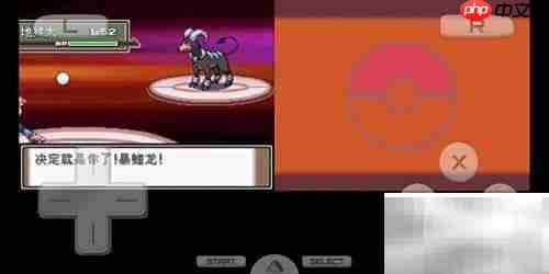 白金火系天王速通攻略