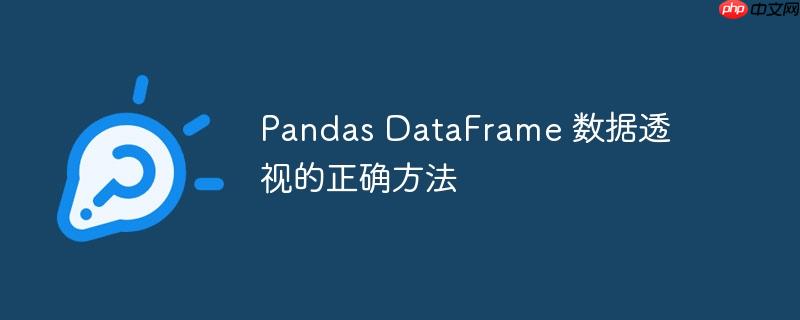 pandas dataframe 数据透视的正确方法