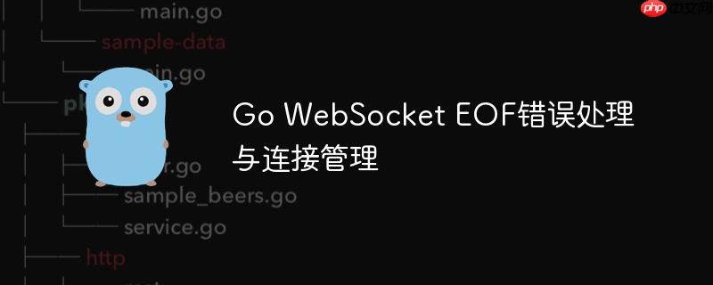 Go WebSocket EOF错误处理与连接管理