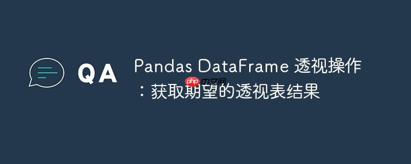 pandas dataframe 透视操作：获取期望的透视表结果
