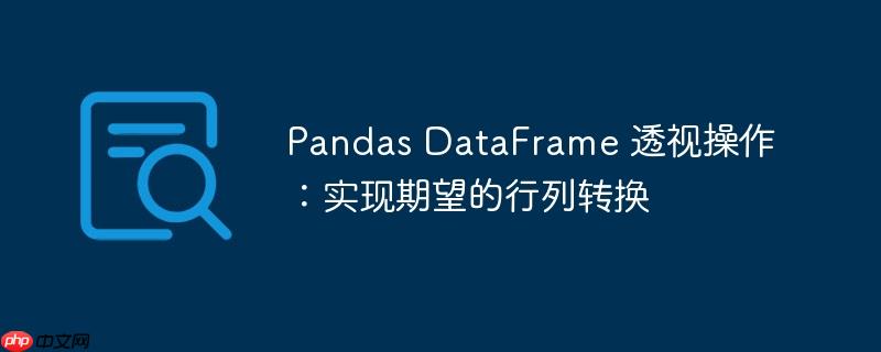 pandas dataframe 透视操作：实现期望的行列转换