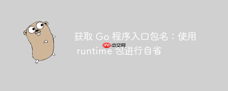获取 Go 程序入口包名：使用 runtime 包进行自省