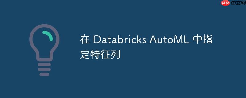 在 databricks automl 中指定特征列