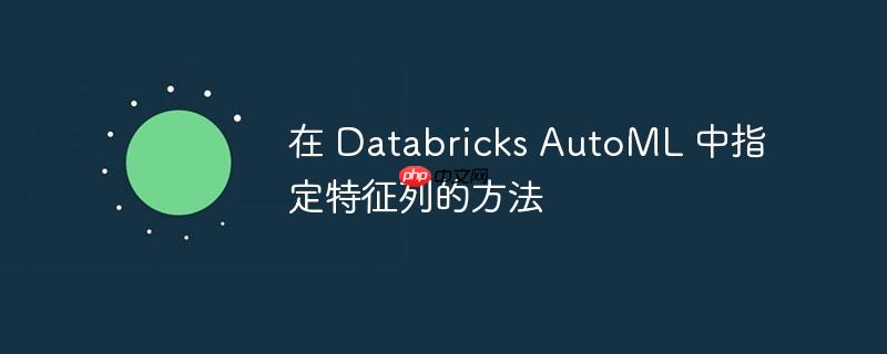 在 databricks automl 中指定特征列的方法