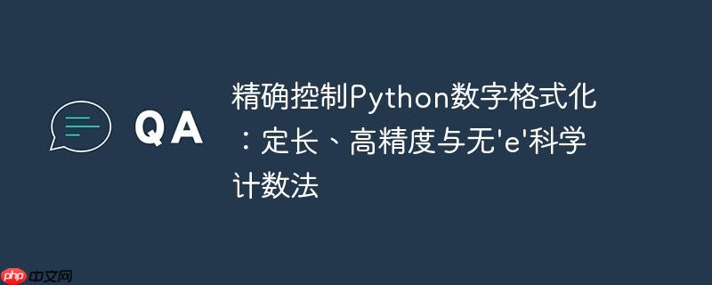 精确控制python数字格式化：定长、高精度与无'e'科学计数法