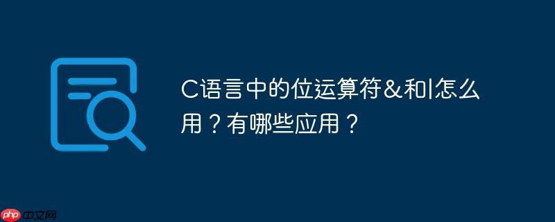 C语言中的位运算符&和|怎么用？有哪些应用？