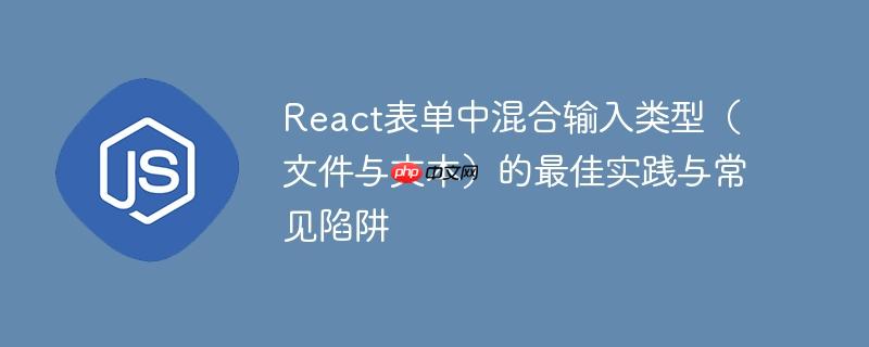 React表单中混合输入类型（文件与文本）的最佳实践与常见陷阱
