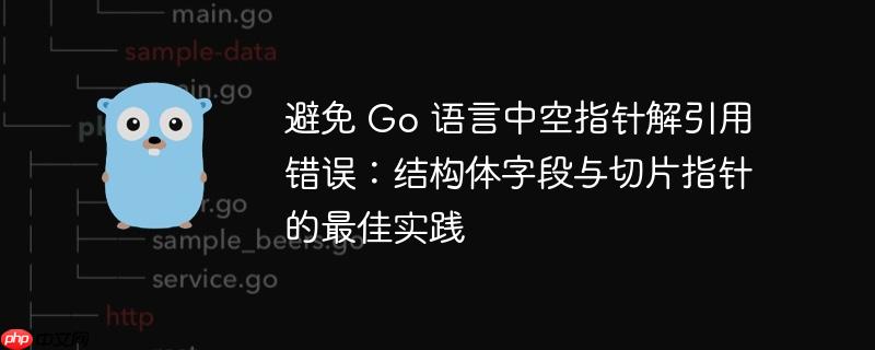 避免 Go 语言中空指针解引用错误：结构体字段与切片指针的最佳实践