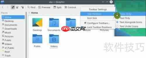 Dolphin文件管理器配置指南