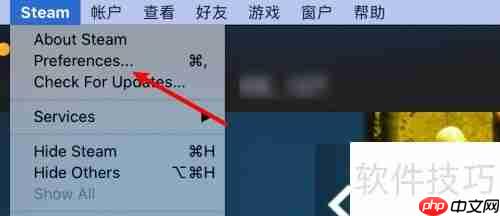 Steam库界面如何显示大图标