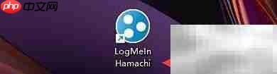 LogMeIn Hamachi自动更新设置