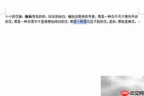 Word 2007快捷键大全