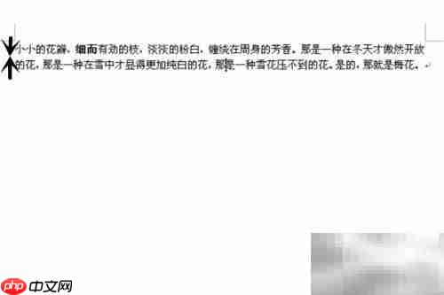 Word 2007快捷键大全