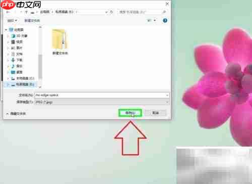 IE浏览器图片下载方法