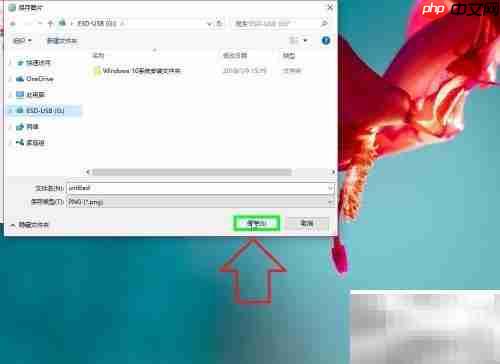 IE浏览器图片下载方法