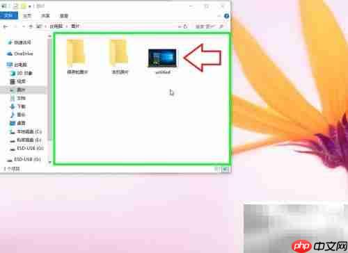 IE浏览器图片下载方法