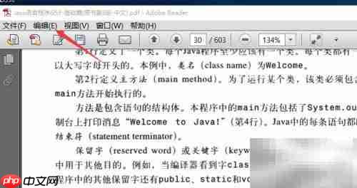 Adobe Reader测量工具使用指南