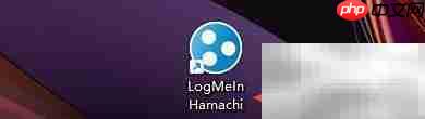logmein hamachi聊天设置指南
