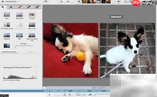 免费图片编辑软件推荐