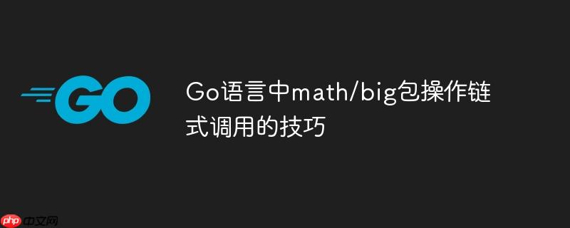 Go语言中math/big包操作链式调用的技巧