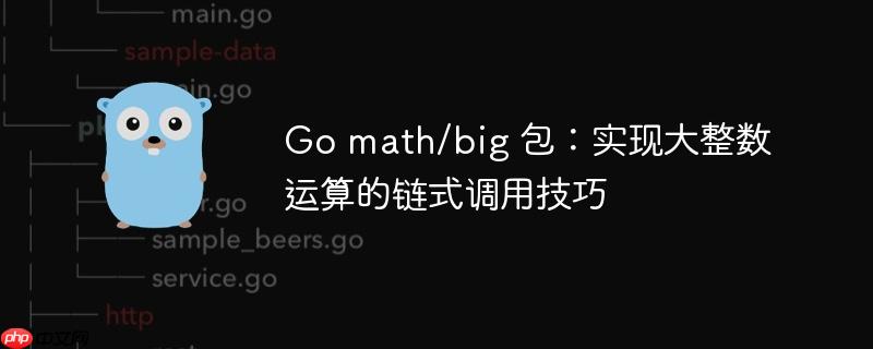 Go math/big 包：实现大整数运算的链式调用技巧