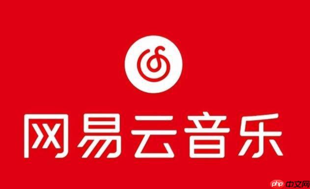 网易云音乐播放时歌词不显示的解决及设置方法