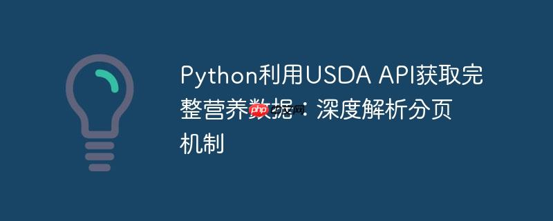 Python利用USDA API获取完整营养数据：深度解析分页机制