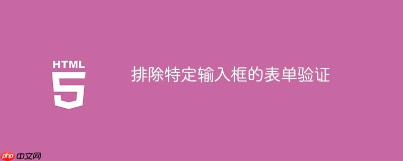 排除特定输入框的表单验证