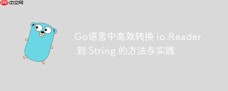 Go语言中高效转换 io.Reader 到 String 的方法与实践