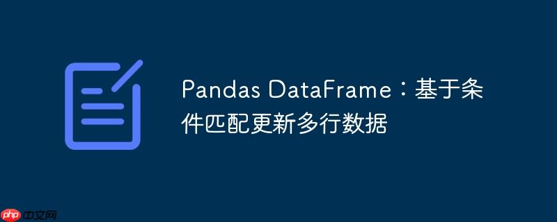 Pandas DataFrame：基于条件匹配更新多行数据