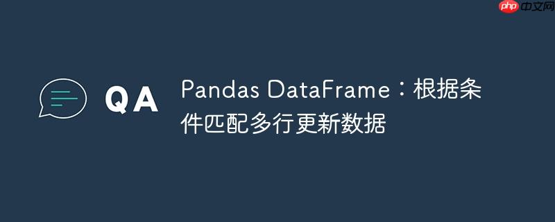 Pandas DataFrame：根据条件匹配多行更新数据