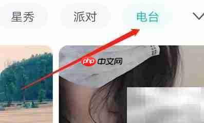 安卓映客如何查看电台