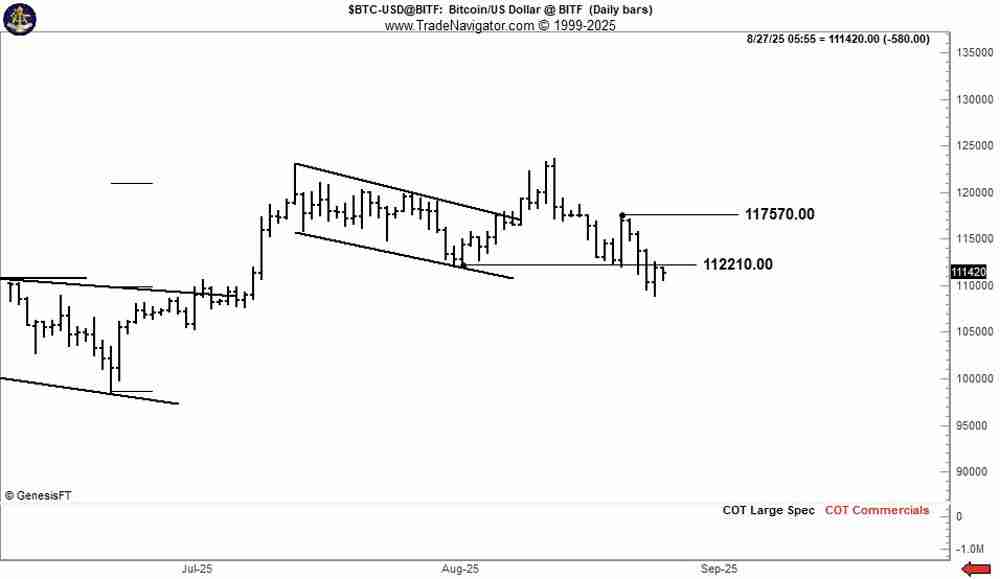 解读比特币（BTC）无视新“OG”巨鲸抛售，价格升至113,000美元