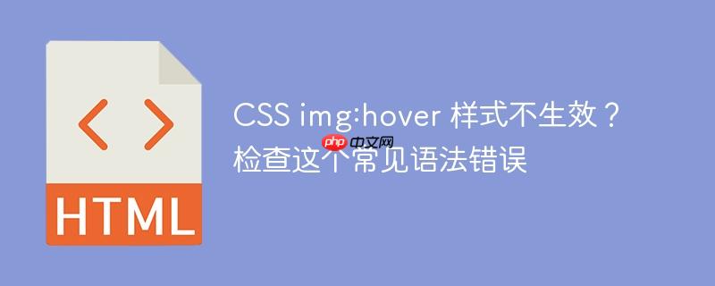 CSS img:hover 样式不生效？检查这个常见语法错误