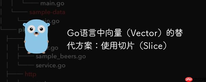 Go语言中向量（Vector）的替代方案：使用切片（Slice）