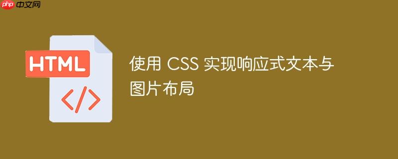 使用 CSS 实现响应式文本与图片布局