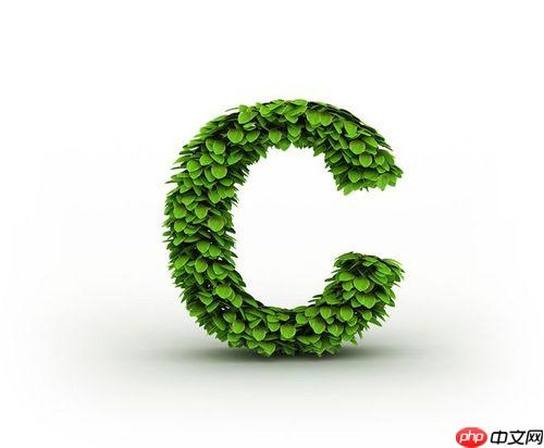 C#的依赖注入是什么？如何在项目中配置？