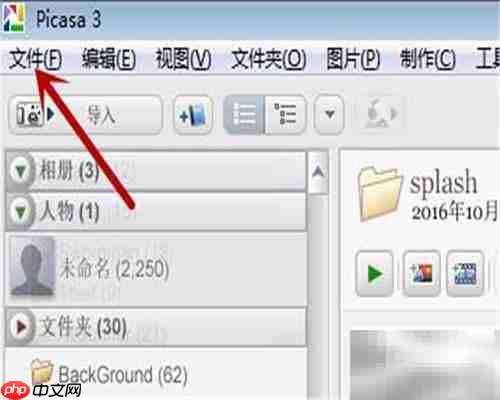 Picasa导入来源功能使用指南