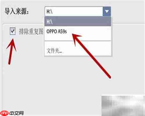 Picasa导入来源功能使用指南