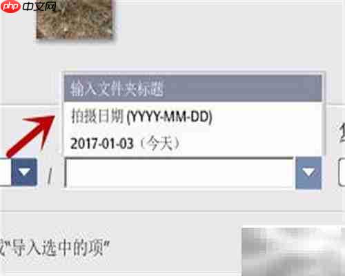 Picasa导入来源功能使用指南