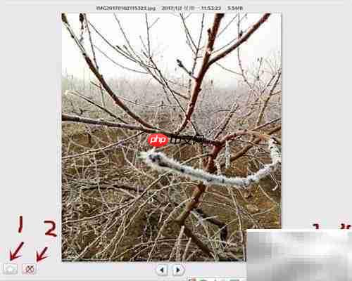 Picasa导入来源功能使用指南