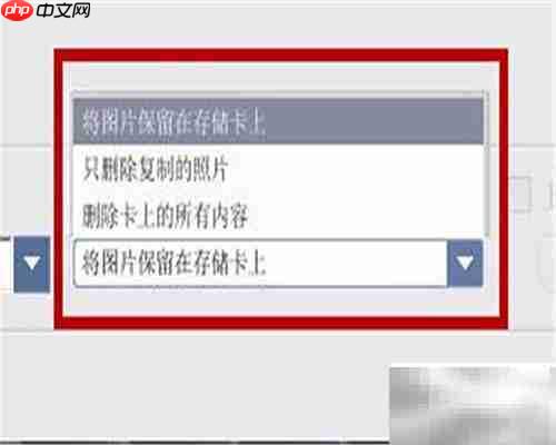 Picasa导入来源功能使用指南
