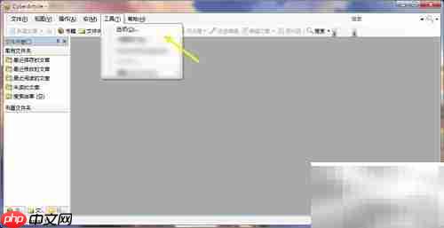 CyberArticle自动维护天数设置