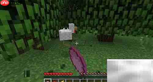 我的世界精灵版下载指南