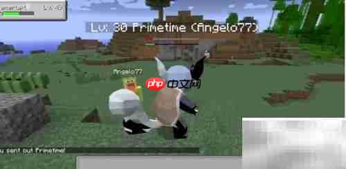 我的世界精灵版下载指南